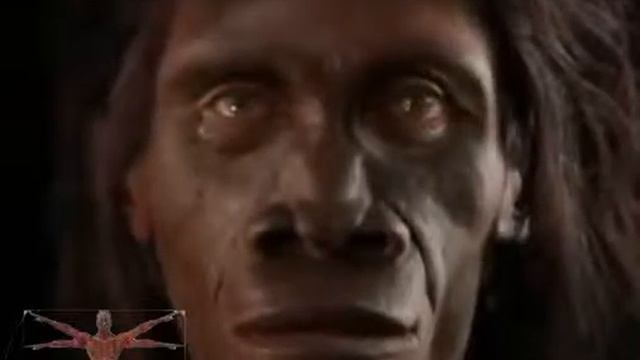 Появление человека по науке смотреть онлайн