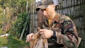 Обзор шорт британской армии DDPM. По-настоящему классные шорты для лета!