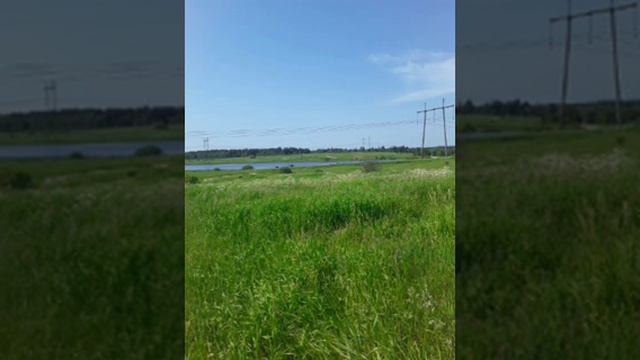 Камолиддин Рахимова гибачи газали махтумкули