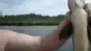 Мужик поймал язь
