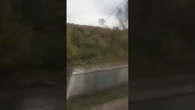 Светлана Дружинина и Анатолий Мукасей едут в Казань на прощальный матч Екатерины Гамовой смотреть онлайн