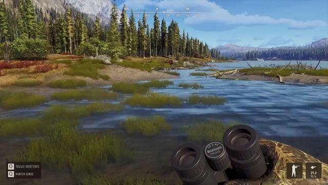 Five Star Frenzy in the Nez Perce Mountains! ⭐ Way of the Hunter смотреть онлайн