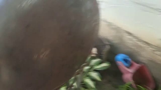 Мангал, барбекю з бойлера смотреть онлайн