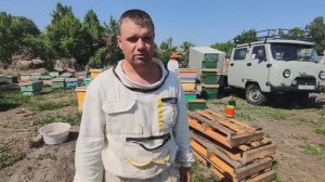 Формируем отводки, расширяем пасеку, обновляем пчелосемьи.