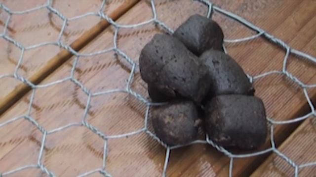 WOMBATS POO SQUARES! смотреть онлайн