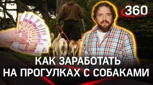 Быстрые деньги: сколько можно заработать догситтером - няней для собак? | Дмитрий Степанищев