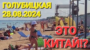 28 августа 2024 г. Это шокирует! #Голубицкая. Пуста, пляжи забиты как в Китае!Аль Маре,Золотая рыбка