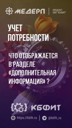 КБФИТ: МЕДЕРП. Учет потребности: Что отображается в разделе «Дополнительная информация»?