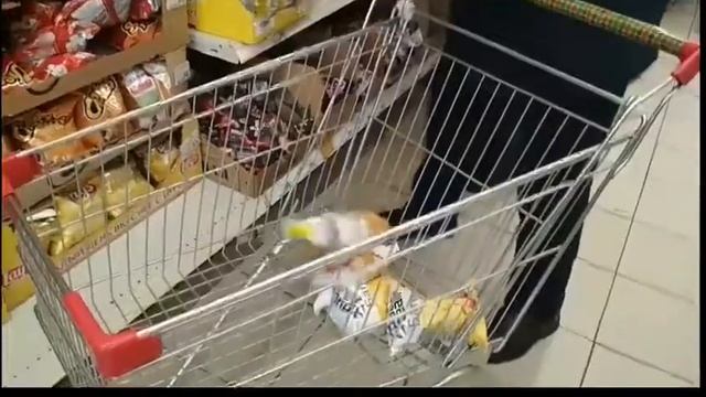 Не носи PIN-код в кошельке, или Правила безопасности для банковских карт смотреть онлайн