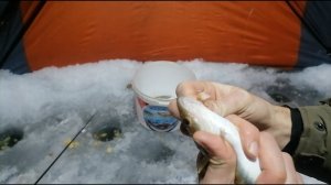 Ночная рыбалка на навагу. Рыба есть - рыбалкой довольны. Рыбалка в Приморском крае. р. Партизанская.