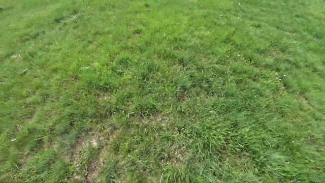 Грибы в алматы 2022| Шампиньоны смотреть онлайн