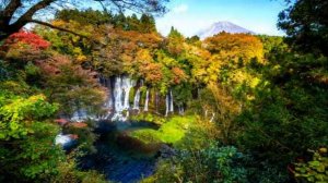 Дух во плоти. Медитация, как «жить в Духе».