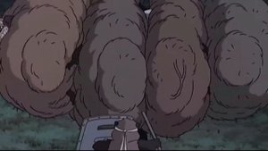 Енотовидная собака - ТАНУКИ [Yokai]