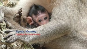 Just Only Block Milk Bar Cannot Find Baby Jinx Keep Cry Drama Angry React Feed Back To Mom Jade.