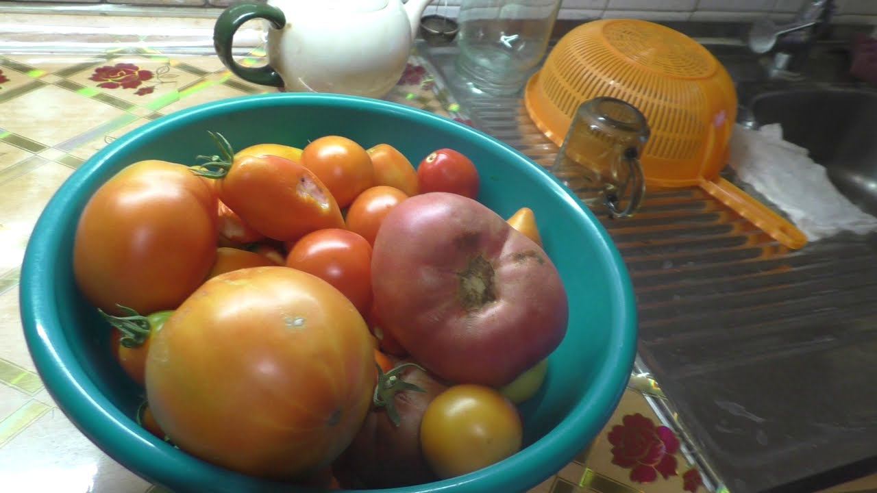 ОГУРЧИКИ В ТОМАТНОЙ ЗАЛИВКЕ