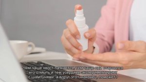 Сальный хвост у кота: что делать?