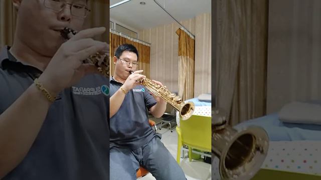 Stranger on the Shore
(Kenny G)
Selmer mark VI soprano
sax смотреть онлайн