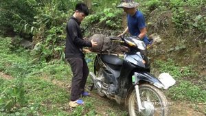 Robert sells pigs. Robert | Green forest life channel (ep303)