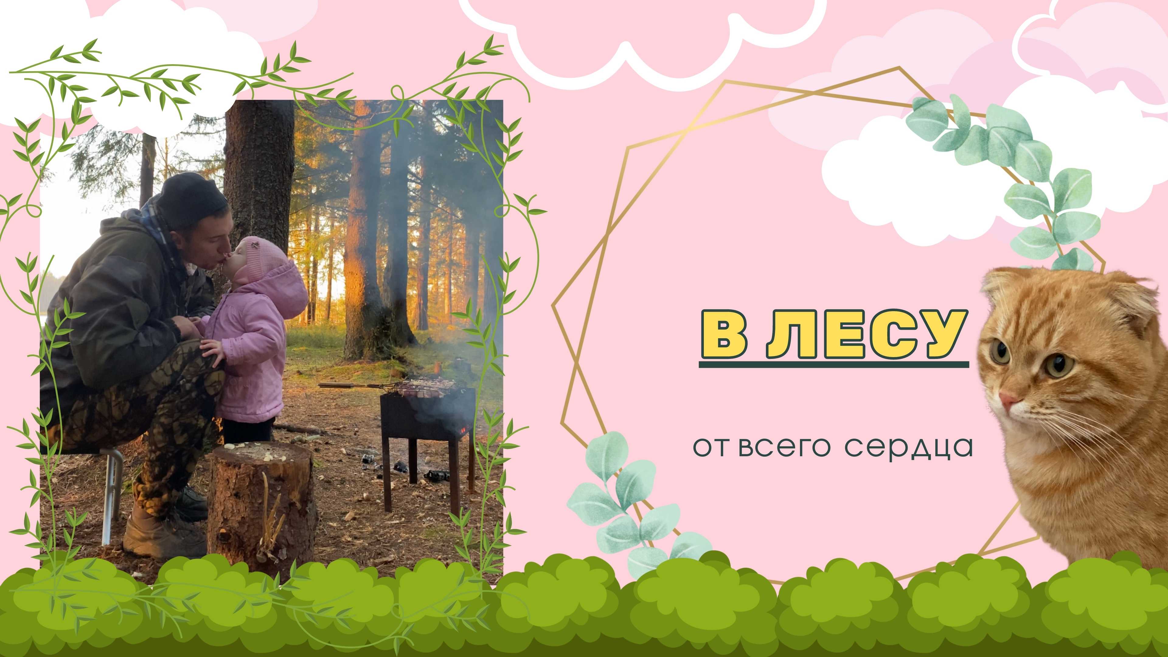 Как мы ездили в лес на ужин.