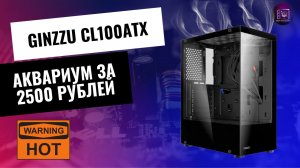 Аквариум за 2500 рублей / Обзор корпуса Ginzzu CL100ATX с озона