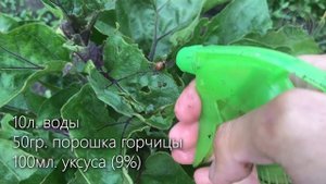 Как Избавится за 2 Минуты от КОЛОРАДСКОГО ЖУКА на Картошке!
