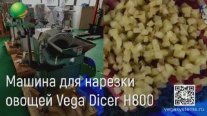 Нарезка овощей, фруктов, картофеля на кубики, Vega Dicer H800 | Машина для нарезки овощей и фруктов