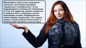 Как правильно хранить норковую шубы летом/ Полезные советы/ Кожаный мир/ Шубы/Дубленки/Куртки.