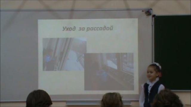 Как растут растения