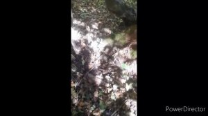 ушли по грибы ,пока дочь на репетиции//голодный ,уставший ребёнок//(9 месяцев назад)