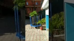 Прогулка по гостинице "Самара". Лазаревское, Свирская 21а. Сочи.