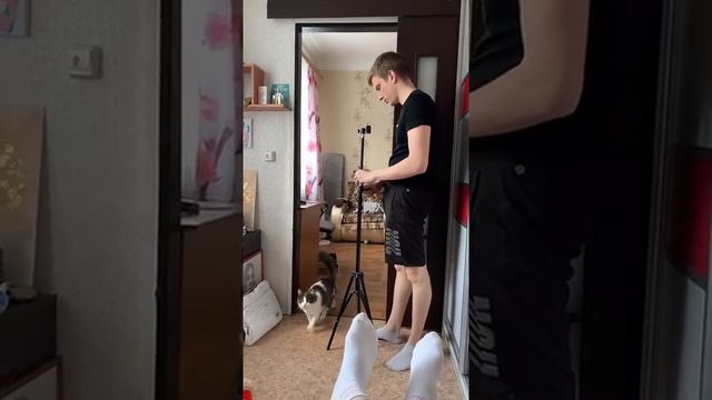 НА ЭТОТ ЗВУК ВАШ КОТ СРАЗУ К ВАМ ПРИБЕЖИТ | КОЛЯ И СВЕТА смотреть онлайн