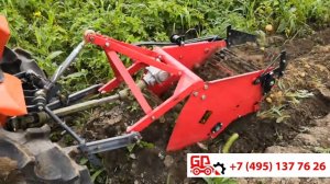 картофелекопалка STARS MR2000 в работе