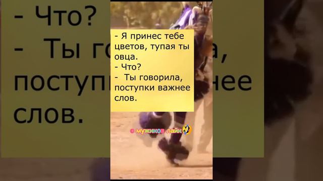 Поступки важнее слов. То, что просят девушки! Анекдот дня. Прикол дня Май. Майский. смотреть онлайн
