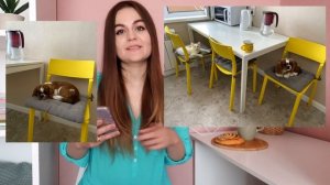 МЫ КУПИЛИ СОБАКУ | КАВАЛЕР КИНГ ЧАРЛЬЗ СПАНИЕЛЬ | ПЛЮСЫ И МИНУСЫ ПОРОДЫ