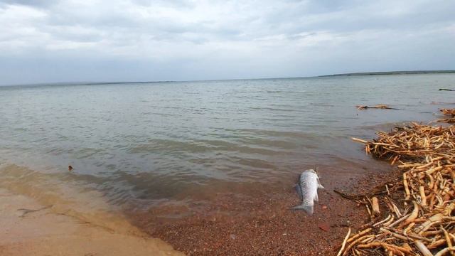 Тасоткельское  водохранилище Шуского района