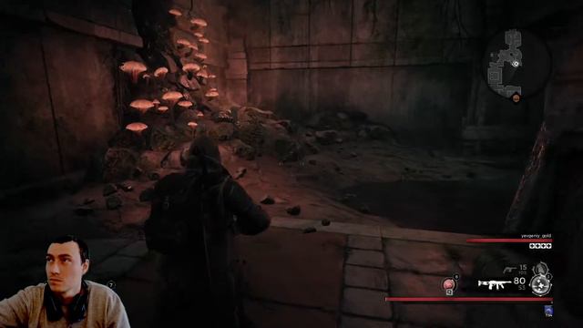 Remnant From the Ashes. Часть 12. Судебные залы. Йаэша. Штурмовая винтовка. Земля Поле скорби. смотреть онлайн