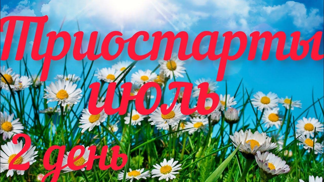 Носки спицами с пяткой Стронг./ Пряжа 