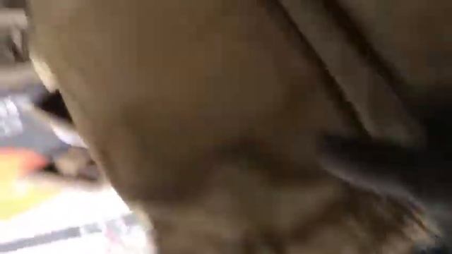 Ватные штаны смотреть онлайн