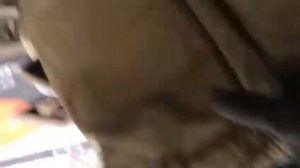 Ватные штаны