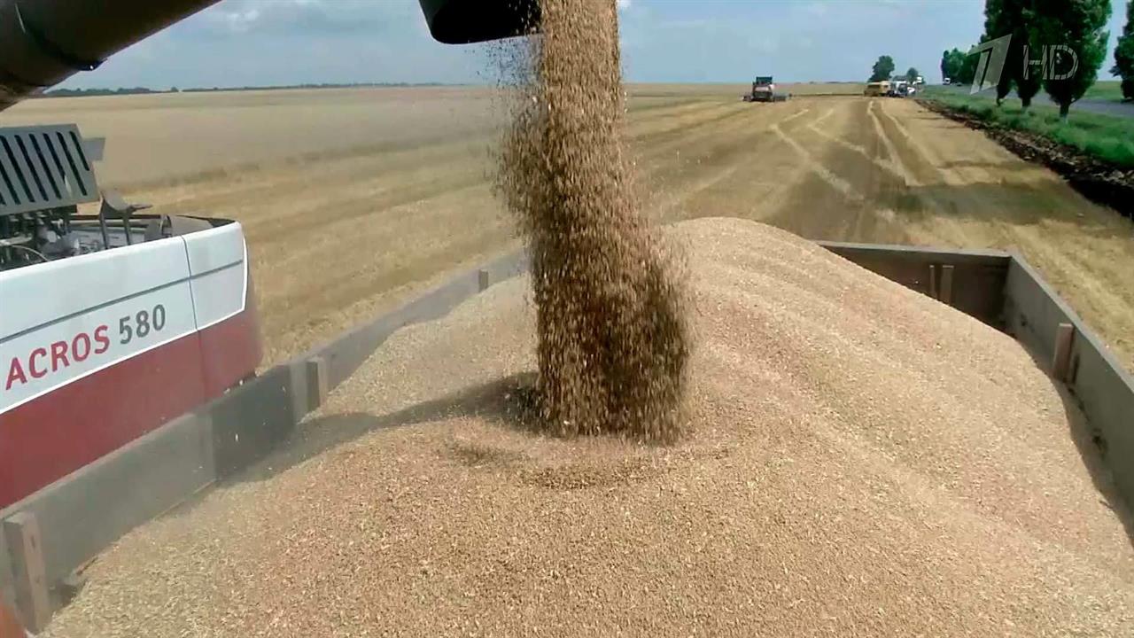 Россия стала главным мировым экспортером пшеницы и возвращает себе статус аграрной супердержавы