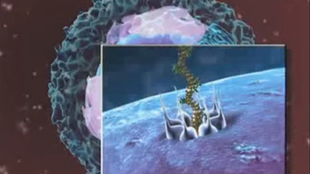 Vireo.ru - Вирусная мозаика - Мутации и ВИЧ смотреть онлайн