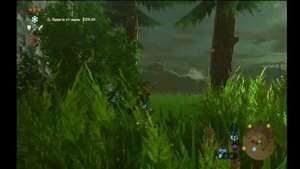 Как в начале The Legend of Zelda Breath of The Wild получить хорошее оружие? ГАЙД