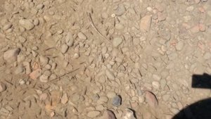 Краткие моменты моей жизни в Республике Тыва, город Кызыл