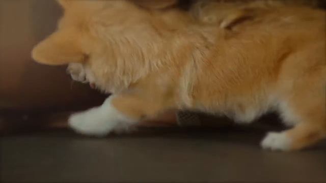 Hotpoint Ariston / Рекламный ролик / Мирная / TV / 2015 смотреть онлайн