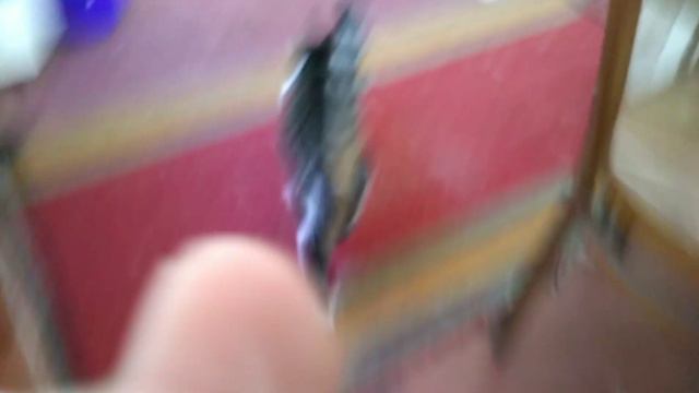 бада-бум кошка асасин смотреть онлайн