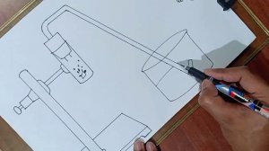 How To Draw Reaction Of Zinc Granules With Dilute Sulphuric Acid And Testing Hydrogen Gas By Burnin