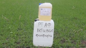 Нашумевший фосфит калия по вегетации перед уходом в зиму + активация фосфора в почве