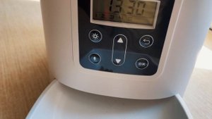 Автоматическая кормушка для животных. Обзор и настройка