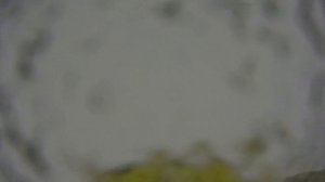 20.07.24 Тучки небесные