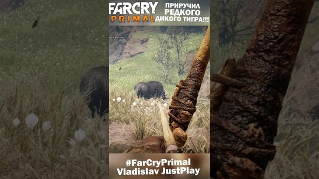 ПРИРУЧИЛ САМОГО КРУПНОГО САБЛЕЗУБОГО ТИГРА КРОВАВОГО КЛЫКА!!! ? #Клипы #FarCryPrimal #Тигр